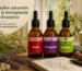 Extractos de Reishi, Ashwagandha y Rhodiola de Fungiteca sobre hierbas y una libreta: remedios naturales para la menopausia