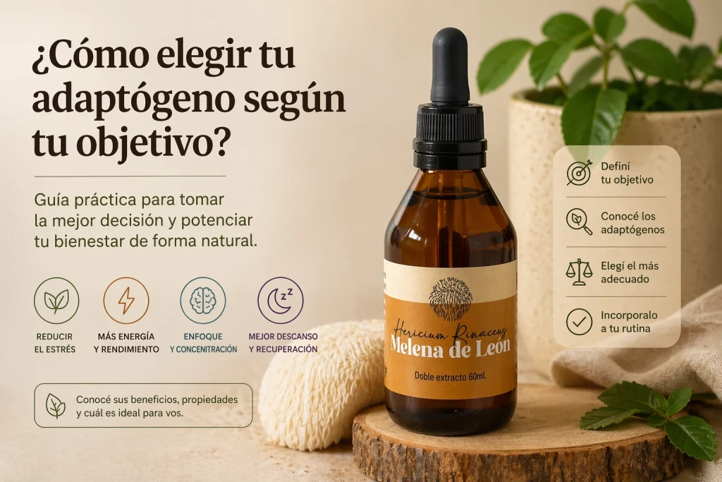 Guía para elegir tu adaptógeno según tu objetivo, con extracto de Melena de León de Fungiteca