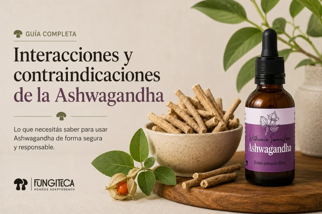 Guía de interacciones y contraindicaciones de la Ashwagandha: raíces de ashwagandha y frasco gotero de Fungiteca
