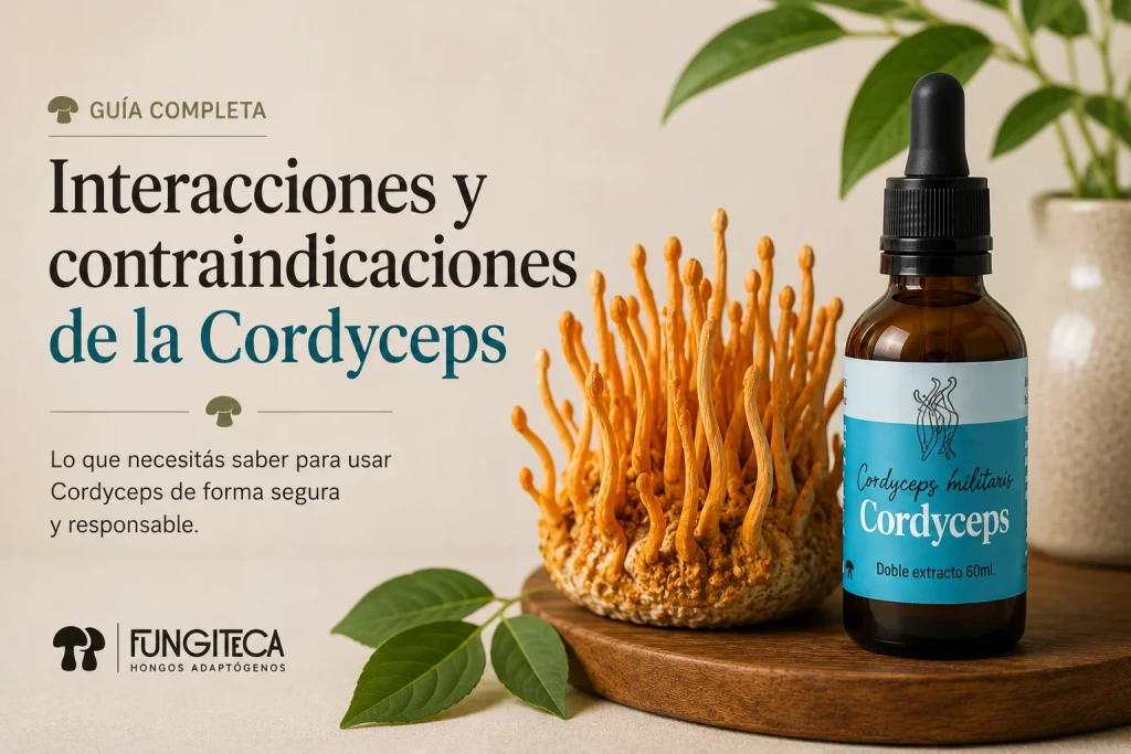 Guía de interacciones y contraindicaciones del Cordyceps: Cordyceps militaris fresco y frasco gotero de Fungiteca