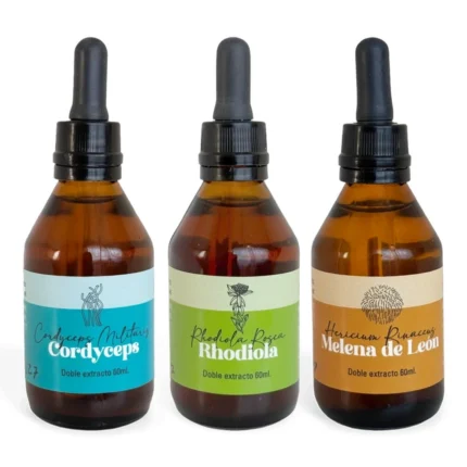Combo Energía y Rendimiento de Cordyceps, Rhodiola y Melena de León Fungiteca
