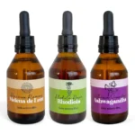 Combo Foco y Claridad Mental de Melena de León, Rhodiola y Ashwagandha Fungiteca