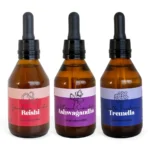 Combo Manejo del Estrés de Reishi, Ashwagandha y Tremella Fungiteca