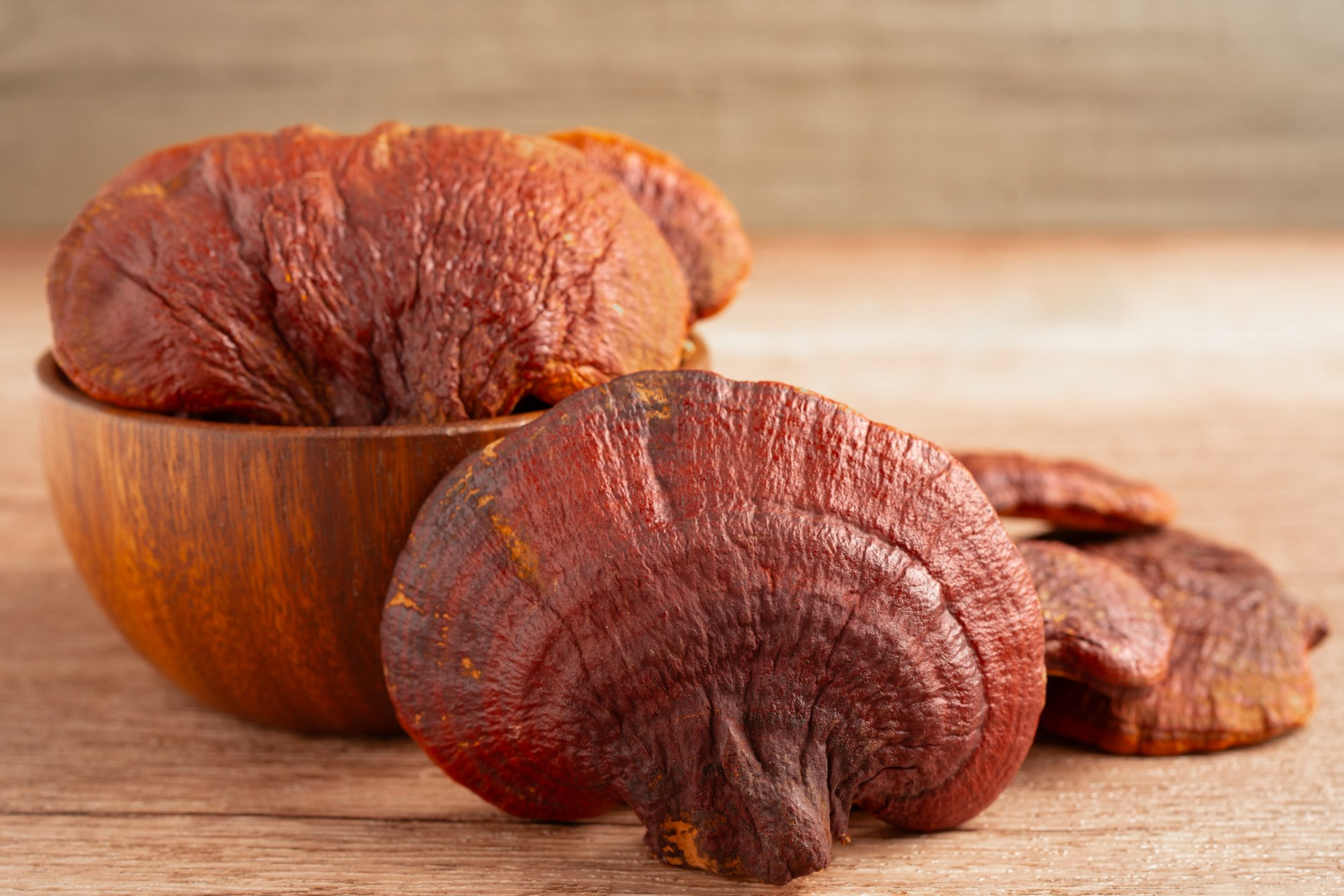 Hongos Reishi (Ganoderma lucidum) frescos en un bol de madera